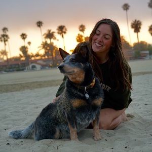 Meet your Posher, Sable